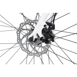 Budget 🎉 Rennrad 28'' Euphoria Weiß Alu-Rahmen RH 58 Cm KS Cycling 🥰 -Spiegelprofi Verkäufe unnamed file 1134