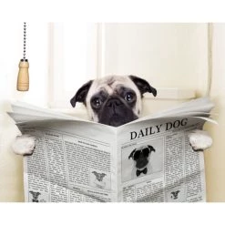 Bester Verkauf 🤩 Spiegelprofi Deko-Panel Adora - Maße: 50 Cm X 50 Cm; 70062011 🎉 -Spiegelprofi Verkäufe unnamed file 222