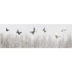 Coupon 😍 Spiegelprofi GmbH Original Sordan 50x150cm,Motiv: Butterfly 73207015 🤩