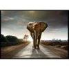 Blitzangebot ⭐ Spiegelprofi Gerahmtes Bild TAIRA, 100x140 Cm, 'Street Elephant', Rahmen: Schwarz ❤️ -Spiegelprofi Verkäufe unnamed file 262
