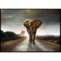 Blitzangebot ⭐ Spiegelprofi Gerahmtes Bild TAIRA, 100x140 Cm, 'Street Elephant', Rahmen: Schwarz ❤️