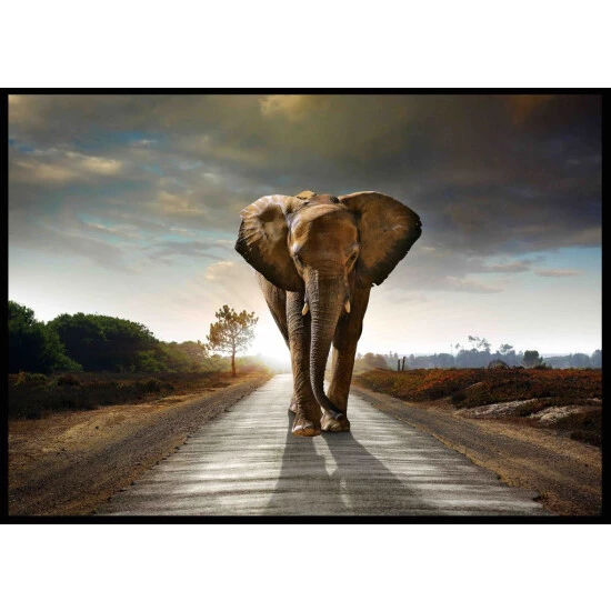 Blitzangebot ⭐ Spiegelprofi Gerahmtes Bild TAIRA, 100x140 Cm, 'Street Elephant', Rahmen: Schwarz ❤️ 3 Blitzangebot ⭐ Spiegelprofi Gerahmtes Bild TAIRA, 100x140 Cm, 'Street Elephant', Rahmen: Schwarz ❤️