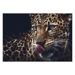 Angebote 🛒 Spiegelprofi Deko-Panel JAD, 68x98 Cm, 'Leo' ⭐