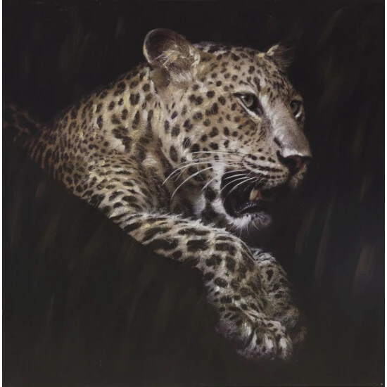 Brandneu ⭐ Spiegelprofi Original RIMBO, 90x90 Cm, 'Leopard' 💯 3 Brandneu ⭐ Spiegelprofi Original RIMBO, 90x90 Cm, 'Leopard' 💯