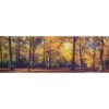 Rabatt 🛒 Spiegelprofi GmbH Leinwandbild Cleo 50x150 Cm,Motiv: Autumn Forest 80651015 🥰 -Spiegelprofi Verkäufe unnamed file 346
