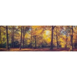 Rabatt 🛒 Spiegelprofi GmbH Leinwandbild Cleo 50x150 Cm,Motiv: Autumn Forest 80651015 🥰