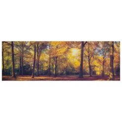 Rabatt 🛒 Spiegelprofi GmbH Leinwandbild Cleo 50x150 Cm,Motiv: Autumn Forest 80651015 🥰 -Spiegelprofi Verkäufe unnamed file 350