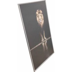 Bestpreis 😍 Spiegelprofi Gerahmtes Bild TAIRA, 100x140 Cm, 'Colourful Lion', Rahmen: Silberfarben 🔥 -Spiegelprofi Verkäufe unnamed file 357