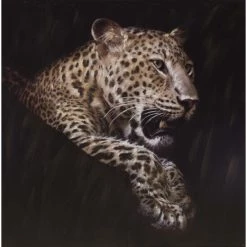 Angebote 😉 Spiegelprofi Ölgemälde Rimbo Original Leopard - 100 X 100cm 🔥