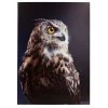 Brandneu 🎉 Spiegelprofi Deko-Panel JAD, 68x98 Cm, 'Owl' ⭐ -Spiegelprofi Verkäufe unnamed file 393