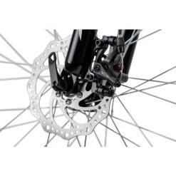 Bestes Angebot 🎉 Mountainbike Hardtail 26'' Xceed Schwarz-grün RH 42 Cm KS Cycling 🧨 17 Bestes Angebot 🎉 Mountainbike Hardtail 26'' Xceed Schwarz-grün RH 42 Cm KS Cycling 🧨 -Spiegelprofi Verkäufe unnamed file 704