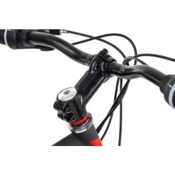 Schlussverkauf ⭐ Mountainbike Hardtail 29'' Xtinct Schwarz-rot RH 56 Cm KS Cycling 🛒 -Spiegelprofi Verkäufe unnamed file 757