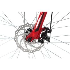 Schlussverkauf ⭐ Mountainbike Hardtail 29'' Xtinct Schwarz-rot RH 56 Cm KS Cycling 🛒 -Spiegelprofi Verkäufe unnamed file 759