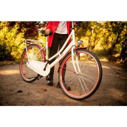 Budget 🧨 Hollandrad 28'' Tussaud Weiß-rot Singlespeed RH 49 Cm KS Cycling 😍 -Spiegelprofi Verkäufe unnamed file 767